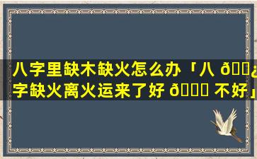 八字里缺木缺火怎么办「八 🌿 字缺火离火运来了好 🐝 不好」